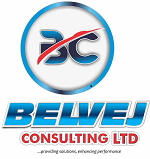 Belvej Consulting Limited-Providing solutions, enhancing performance.
